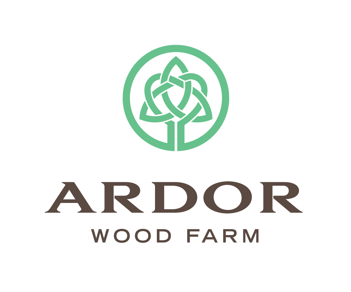 Logo Design by airborne for this project | Design #10270892