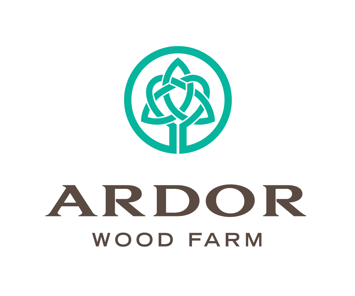 Logo Design by airborne for this project | Design #10270893