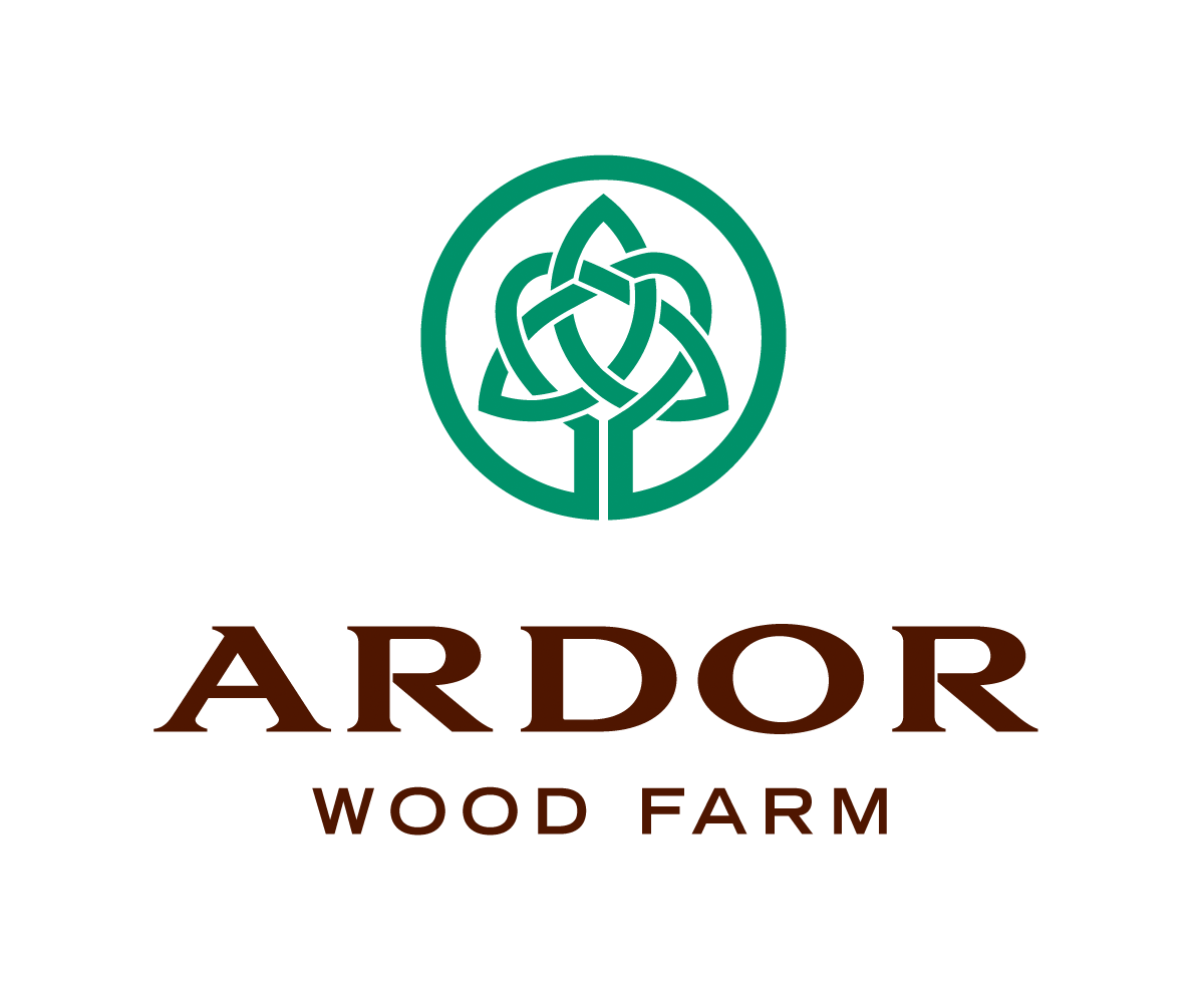 Logo-Design von airborne für dieses Projekt | Design #10271582