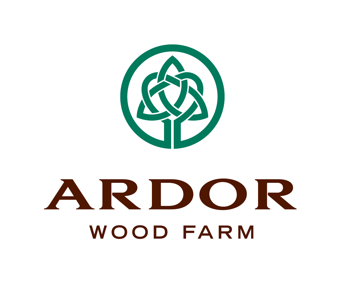 Logo-Design von airborne für dieses Projekt | Design #10271583