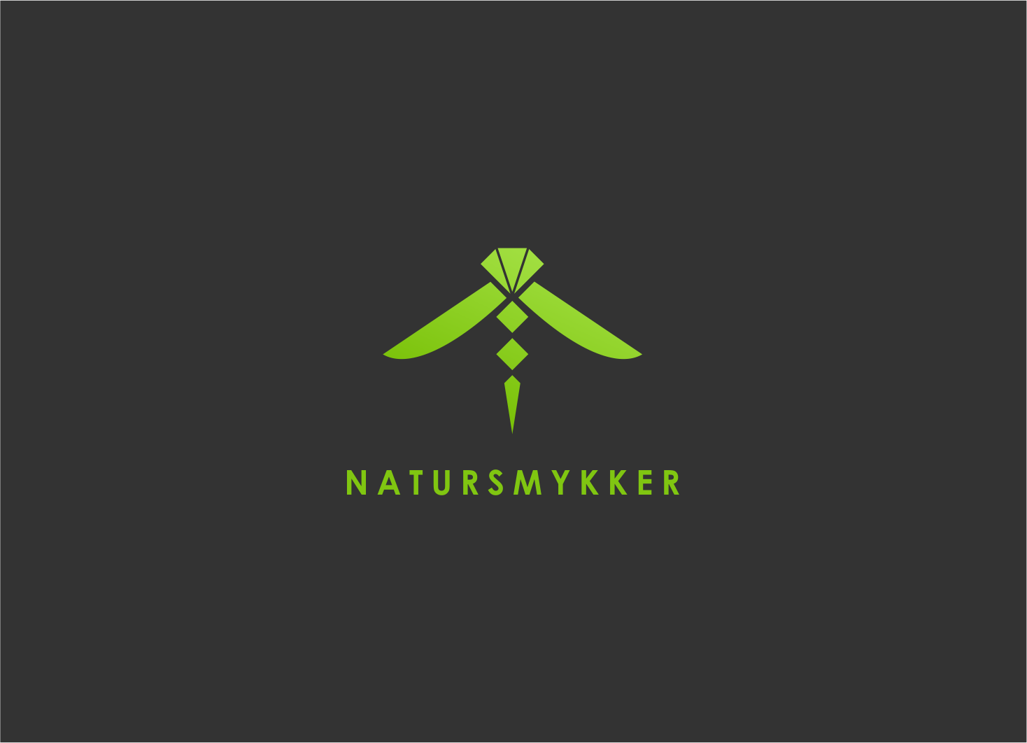 Logo Design by holapuito for NaturSmykker | Design #10476698