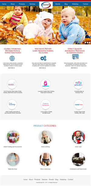 Diseño Web por jeckx2 para este proyecto | Diseño: #2175985