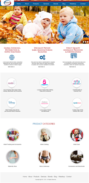Diseño Web por jeckx2 para este proyecto | Diseño: #2175986