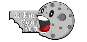 Logo Design by steinism