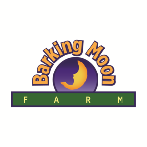 Logo Design by Taiki Design