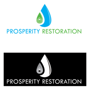 Logo Design by Limecom for Houston Slingshot Rental | Design: #10257766