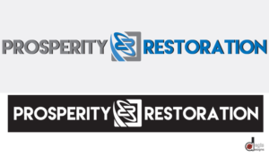 Logo Design by AegisDesigns for Houston Slingshot Rental | Design: #10272520