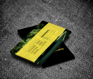 Business Card Design by JK18 for Off the Line Detailing | Design #10297659