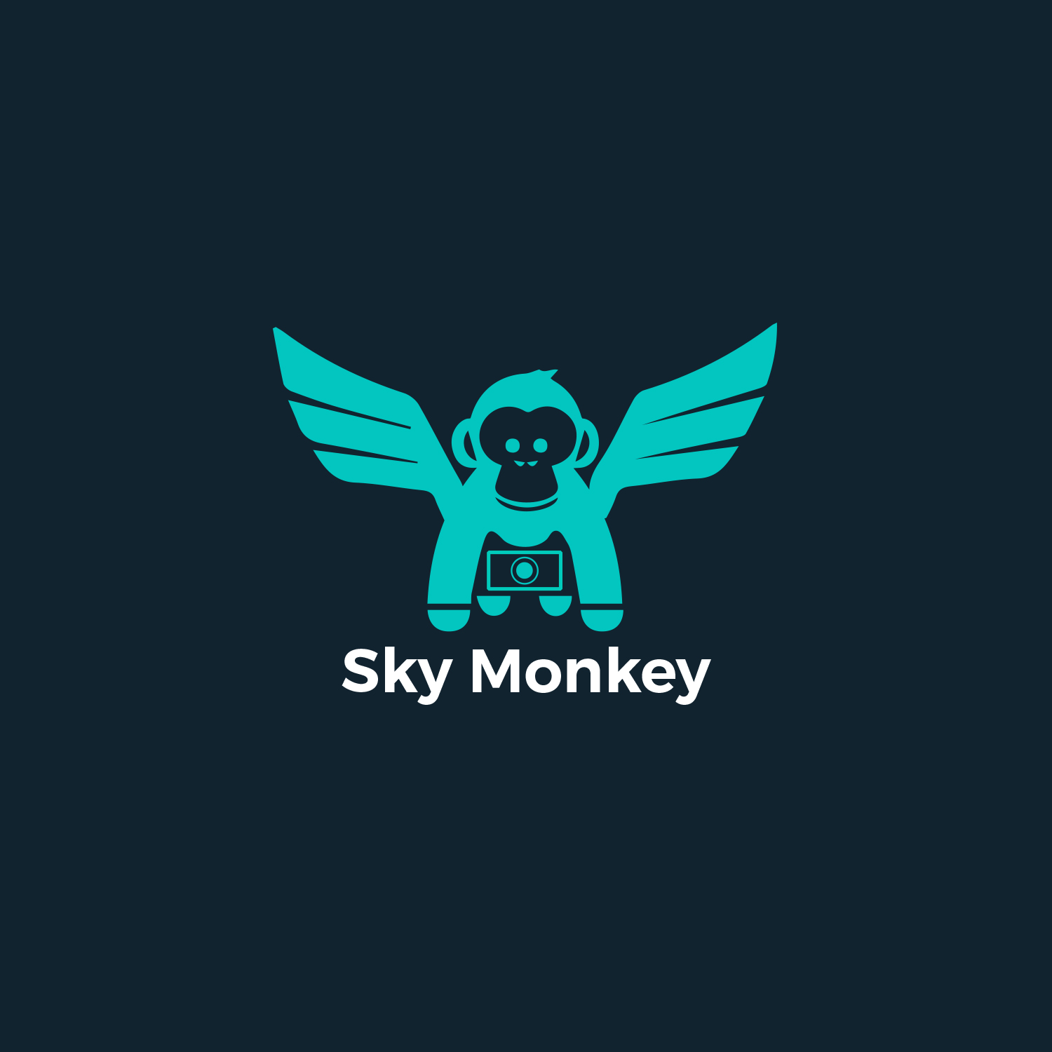 Design de Logo par vp.salim pour Sky Monkey | Design #10222093