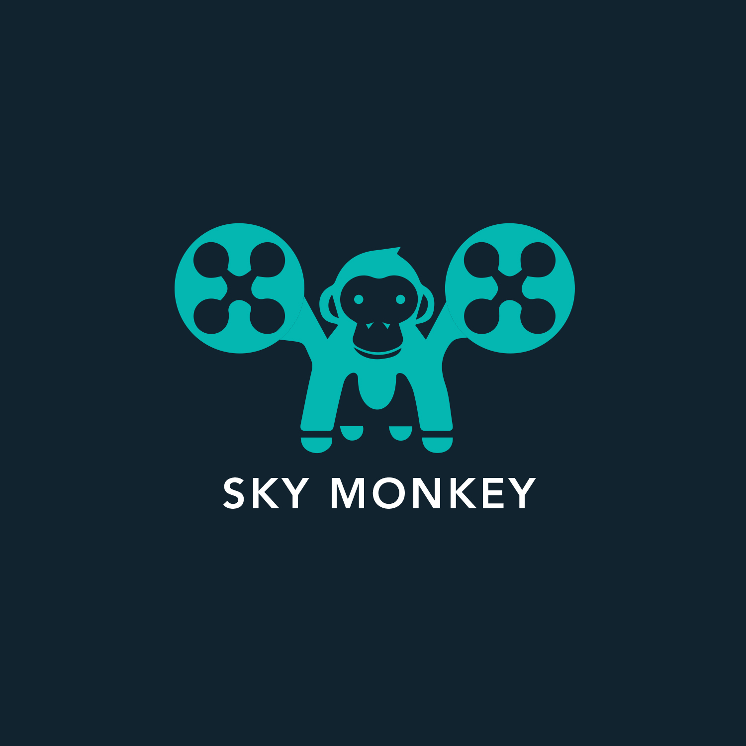 Logo Design by vp.salim for Sky Monkey | Design #10239444