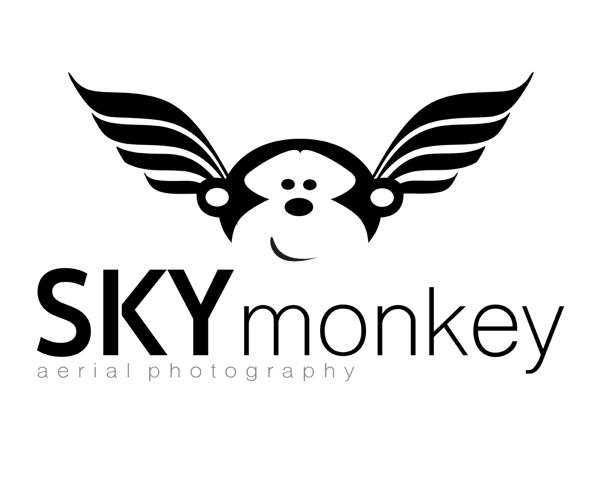 Logo Design by beryb for Sky Monkey | Design #10218546