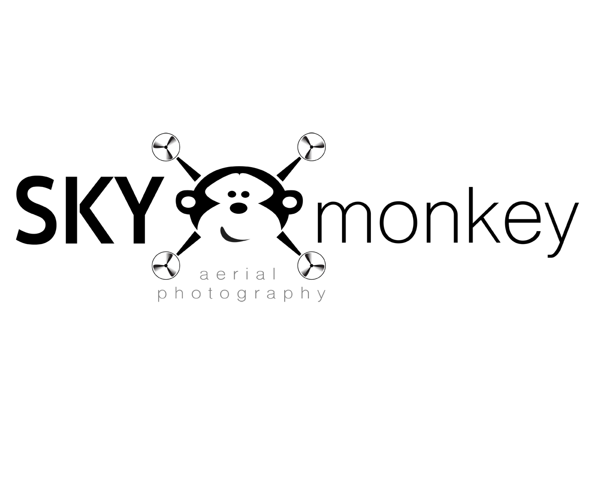 Logo Design by beryb for Sky Monkey | Design #10230906