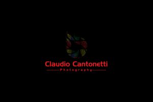 Logo Design by Ather Ali Khan for this project | Design: #10355422