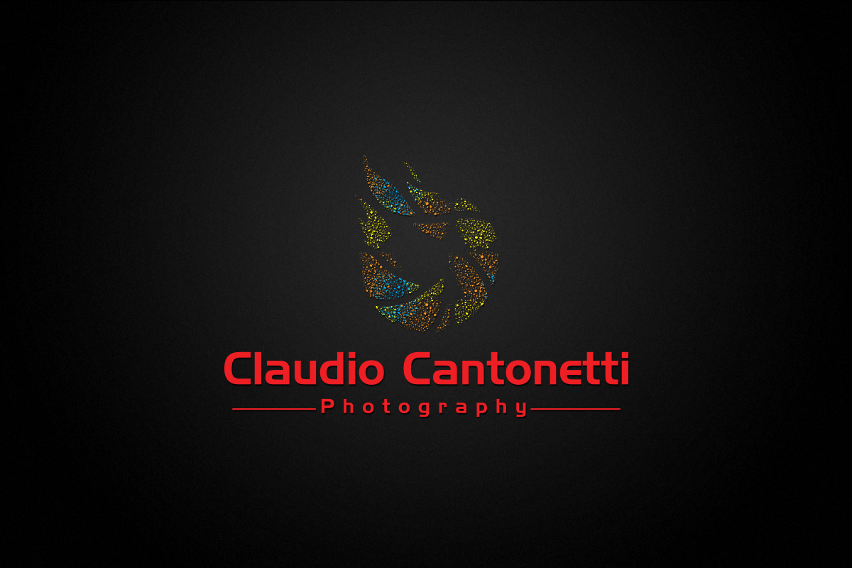 Logo-Design von Ather Ali Khan für dieses Projekt | Design #10386602