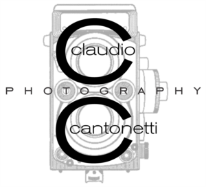 Logo Design by dennis william gaylor