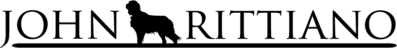 Icon Design by Robin Brinck for Capitus | Design #18894