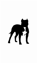 Icon Design by Alanna for Capitus | Design: #19136