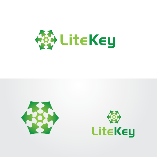 Logo-Design von Ingus Eisaks für dieses Projekt | Design: #446594