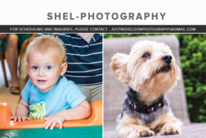 Postcard Design by Best Design Hub for Shel Photography | Design: #10223723