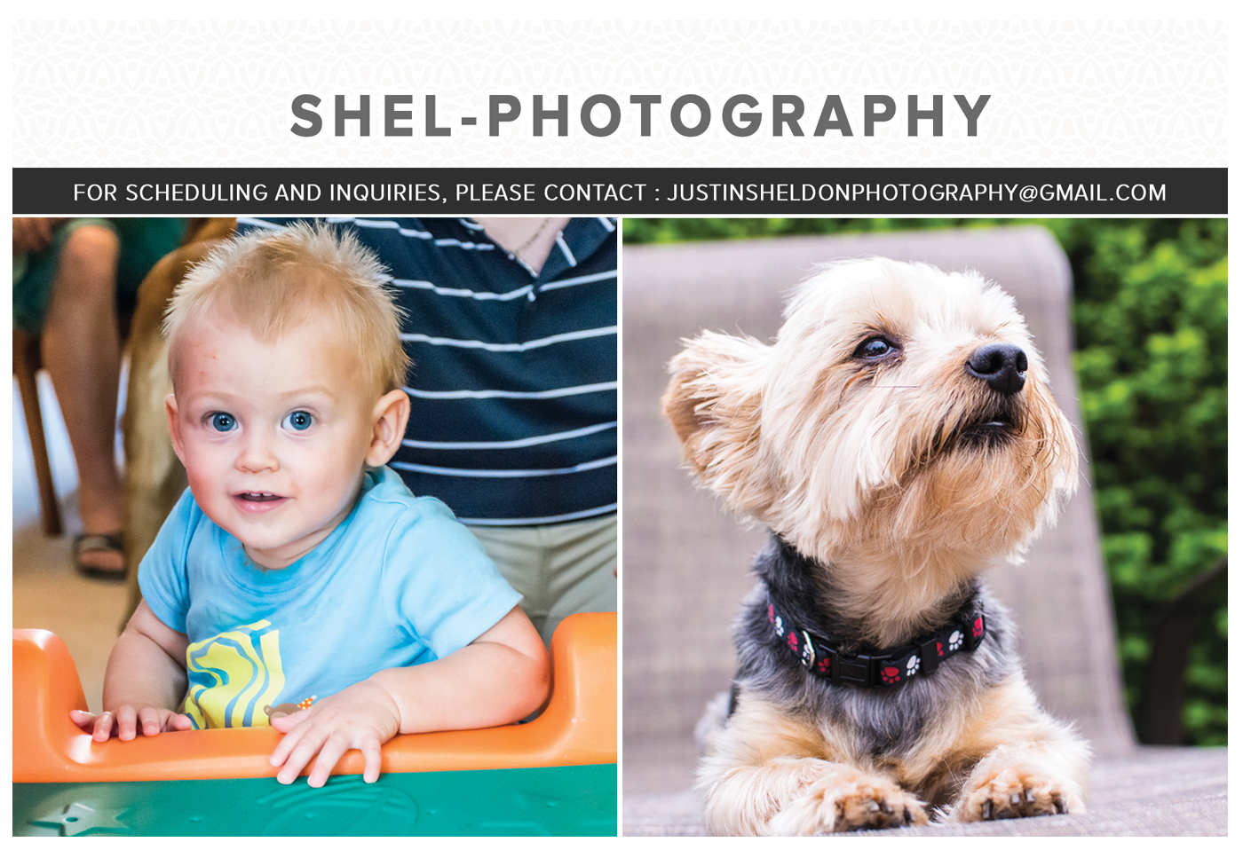 Design de Carte Postale par Best Design Hub pour Shel Photography | Design #10223728