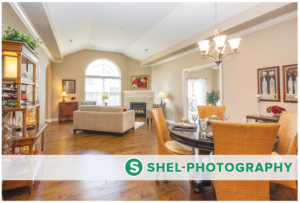 Postcard Design by Best Design Hub for Shel Photography | Design: #10239109