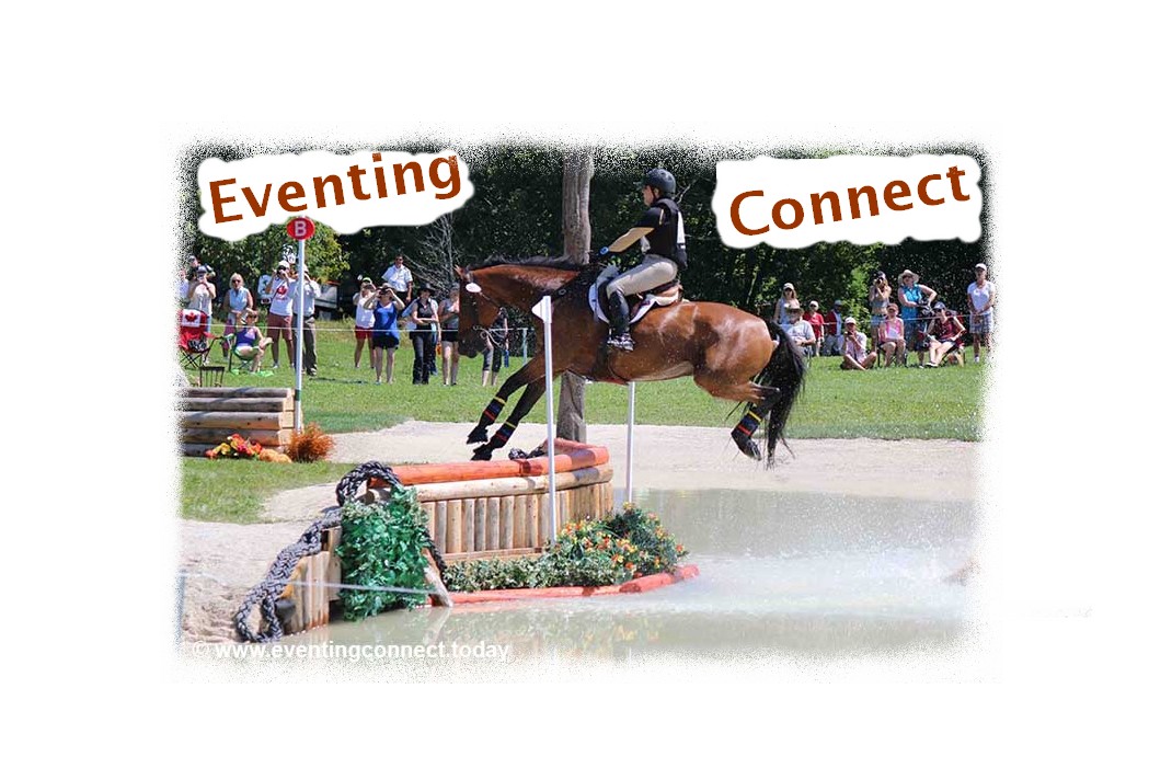 Diseño de Logo por designerone para sable marketing | Diseño #10218062