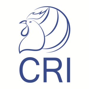 Logo Design by minhchi.le93 for this project | Design: #10383090