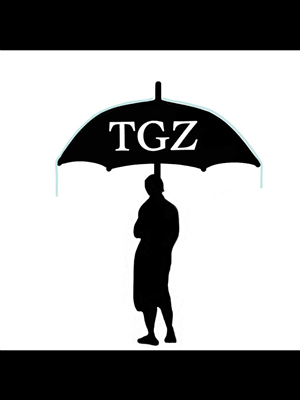 Logo Design by anonymouse987 for TGZ Group | Design: #2179825