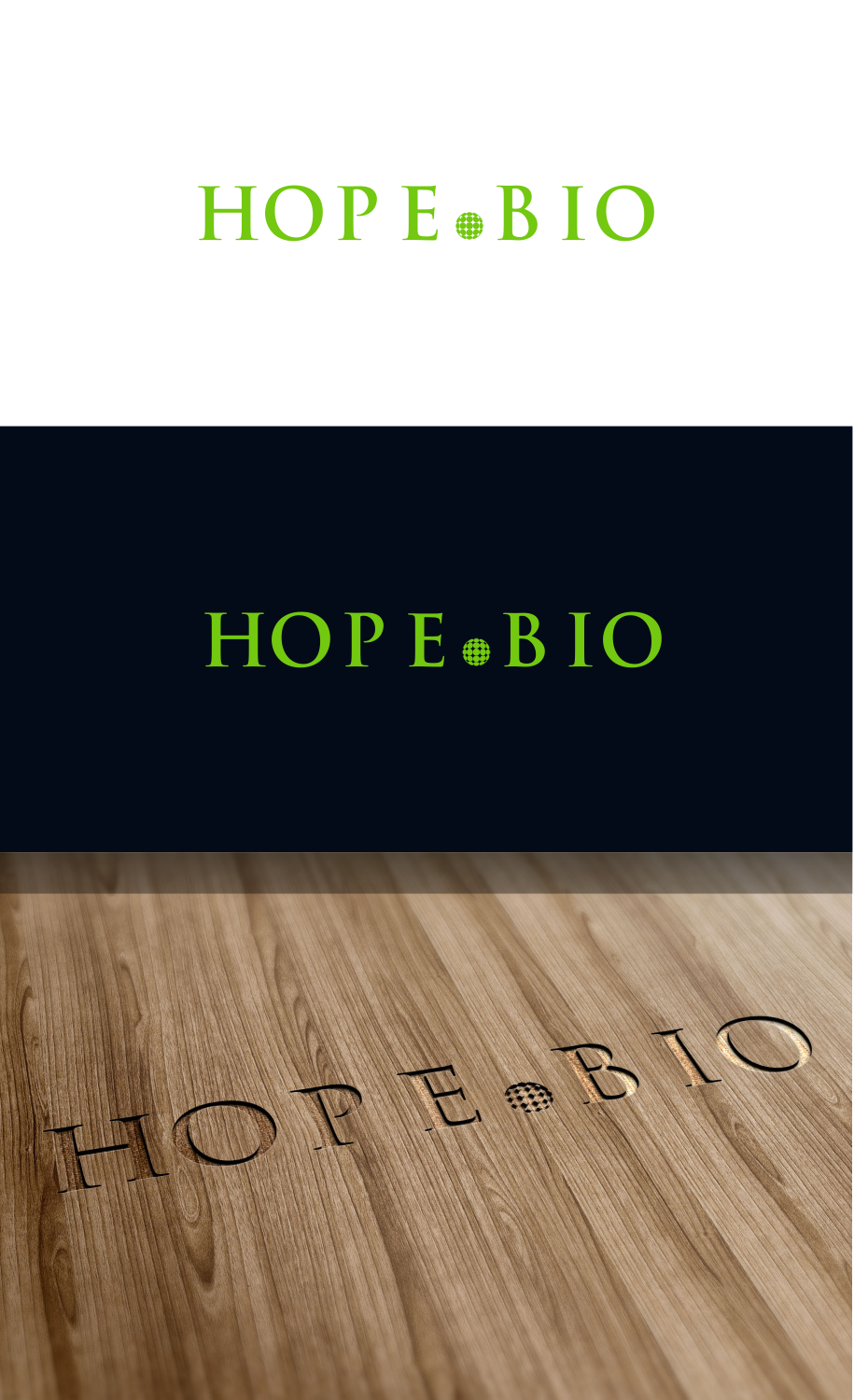 Diseño de Logo por jenggot_merah_ para este proyecto | Diseño #10228530