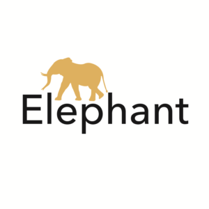 Logo Design by Taiki Design