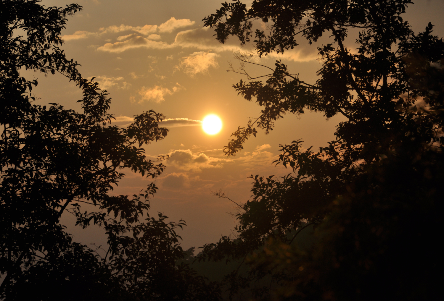Photography by Expert Designer for DesignCrowd (Community Contests) | Design #10294255