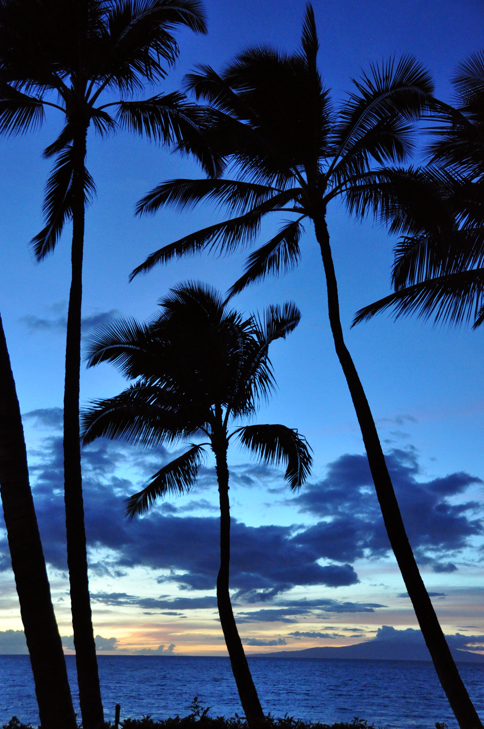 Photography by Rambis for DesignCrowd (Community Contests) | Design #10295603