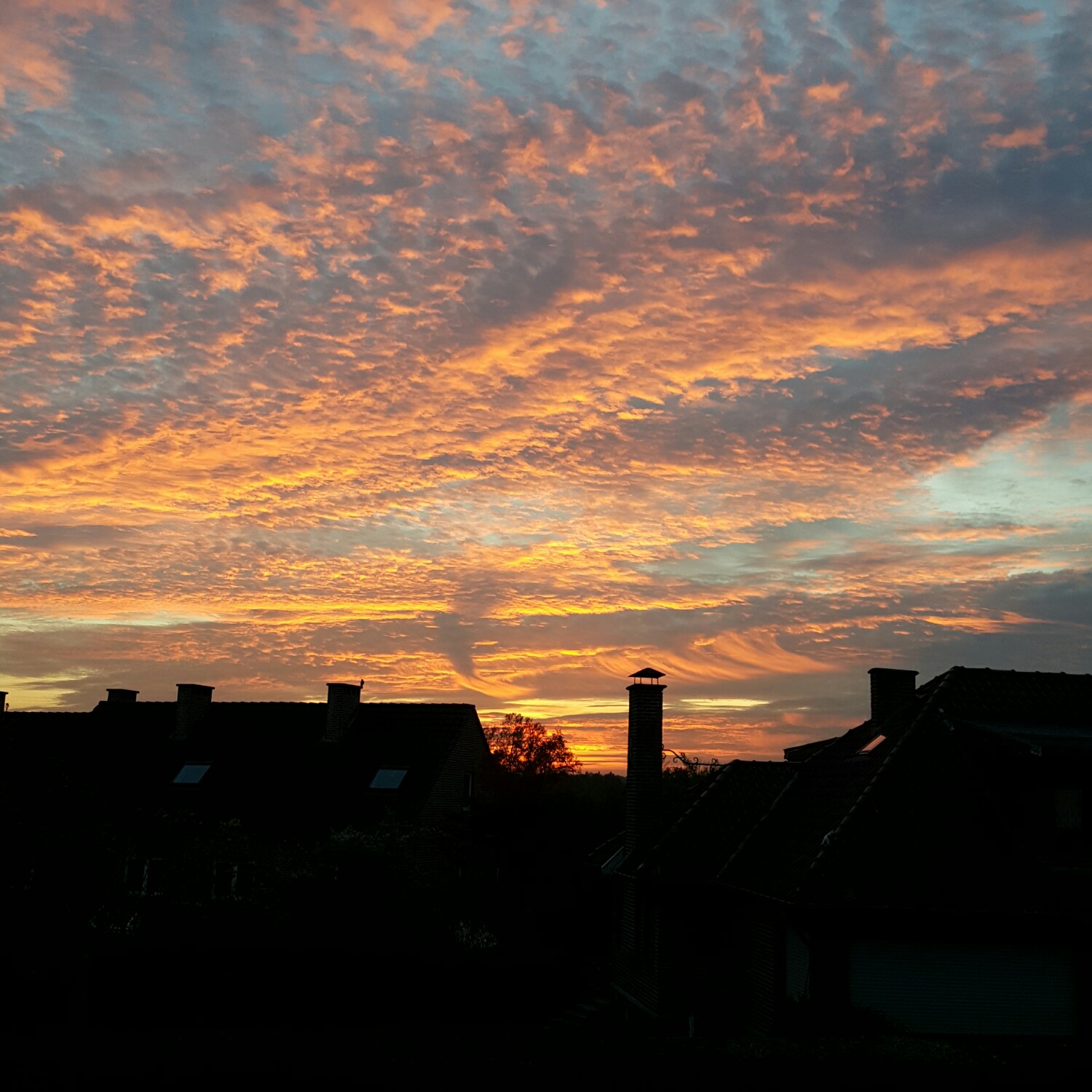 Photography by VeeZee for DesignCrowd (Community Contests) | Design #10269335