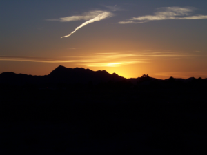 Photography by shane coursen