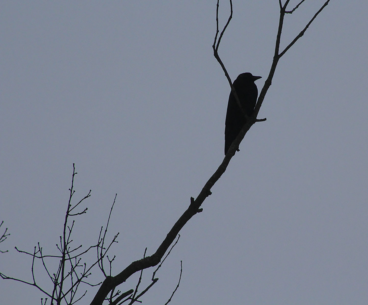 Photography by mmason0649 for DesignCrowd (Community Contests) | Design #10297020