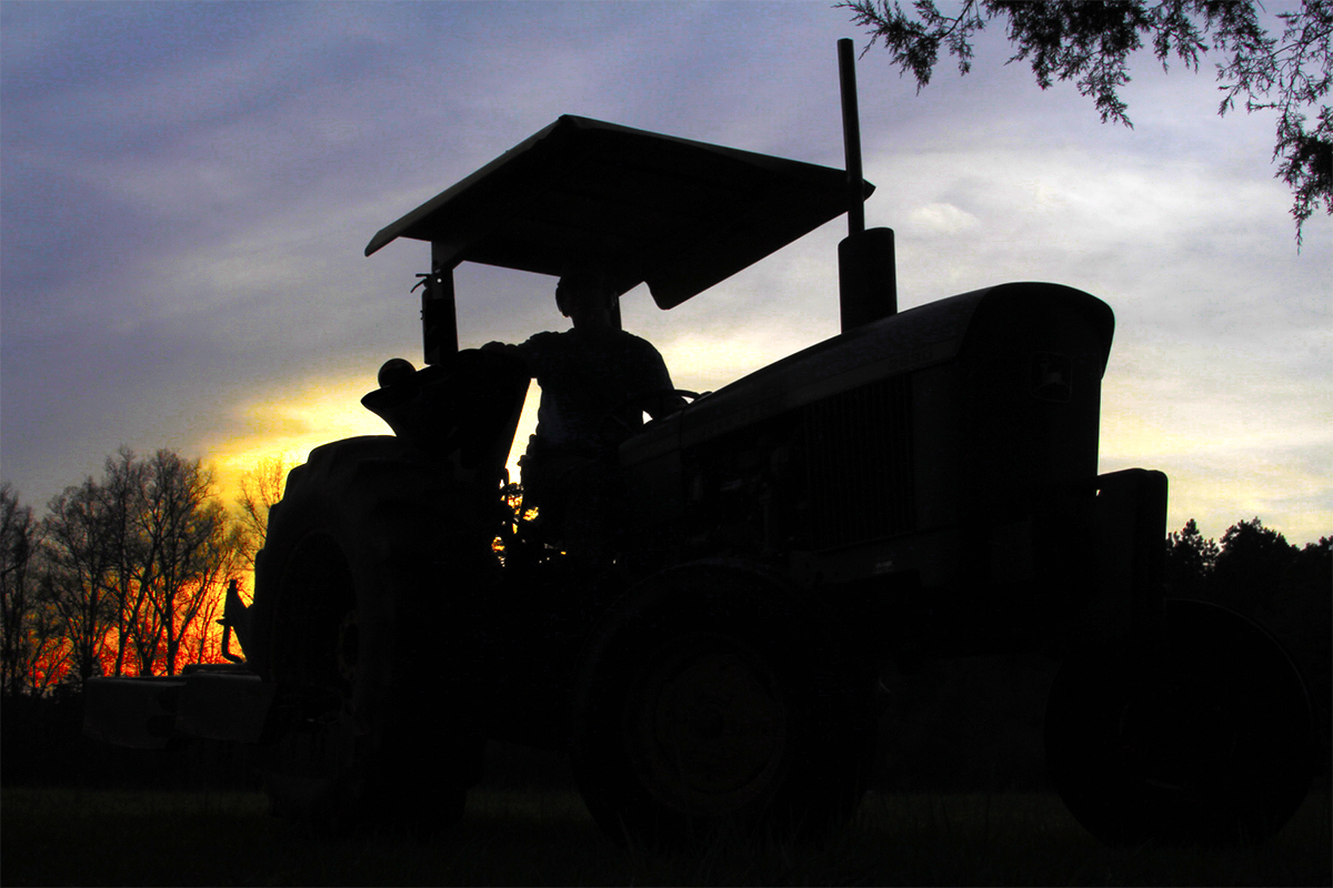 Photography by tkopetzky3695 for DesignCrowd (Community Contests) | Design #10303545