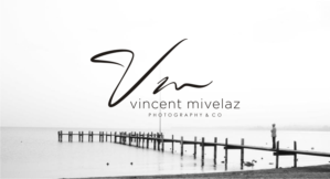 Logo-Design von thea alzena für dieses Projekt | Design: #10277703