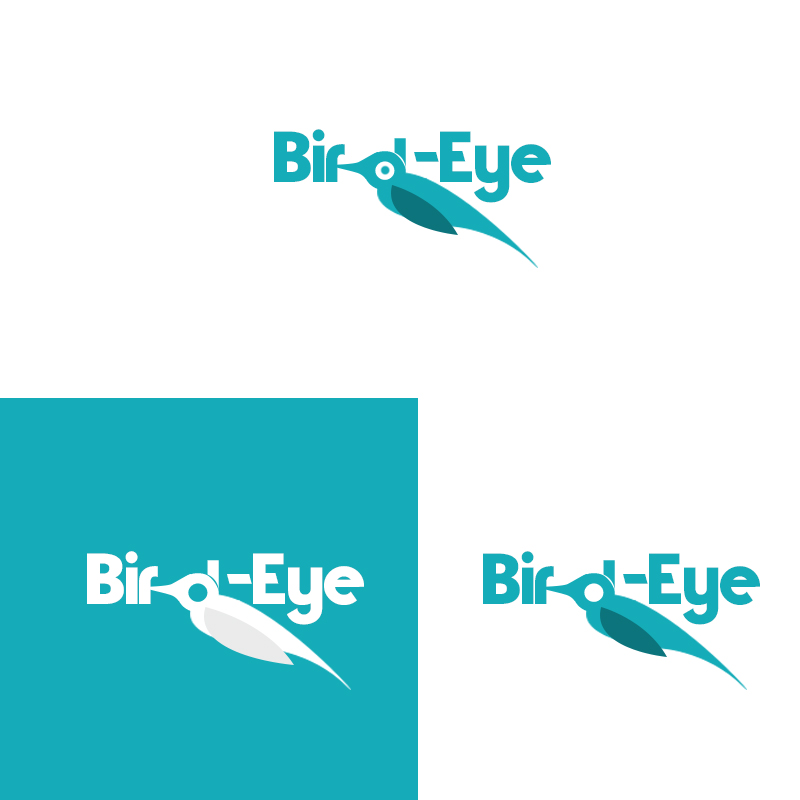 Logo Design by Dh Production By Aniqa for Birds-Eye  | Design #10295148