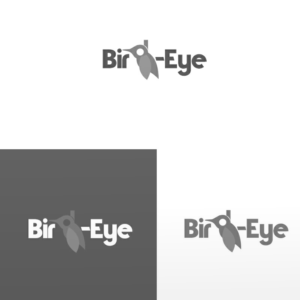 Logo Design by Dh Production By Aniqa for Birds-Eye  | Design: #10326020