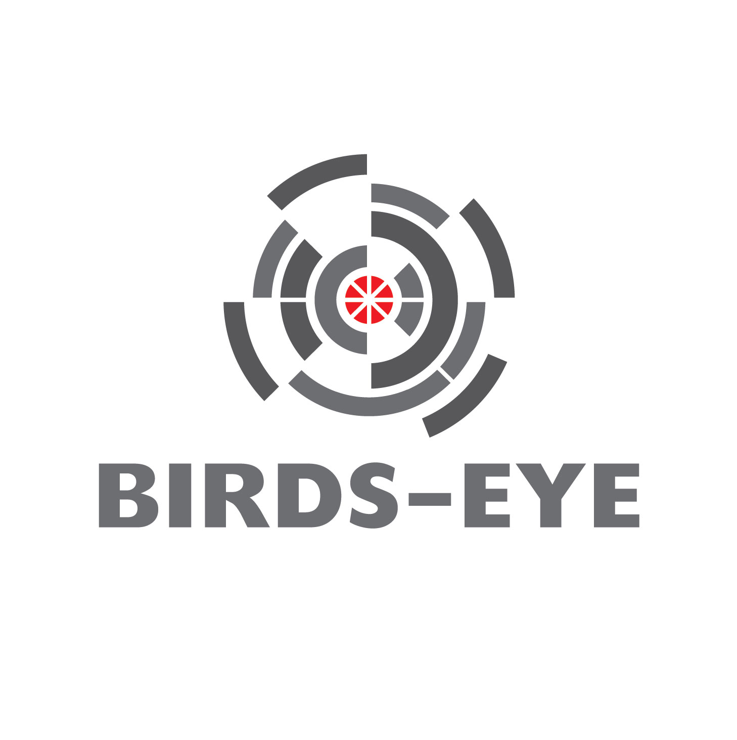 Logo Design by dcruzcreative advertising for Birds-Eye  | Design #10266316