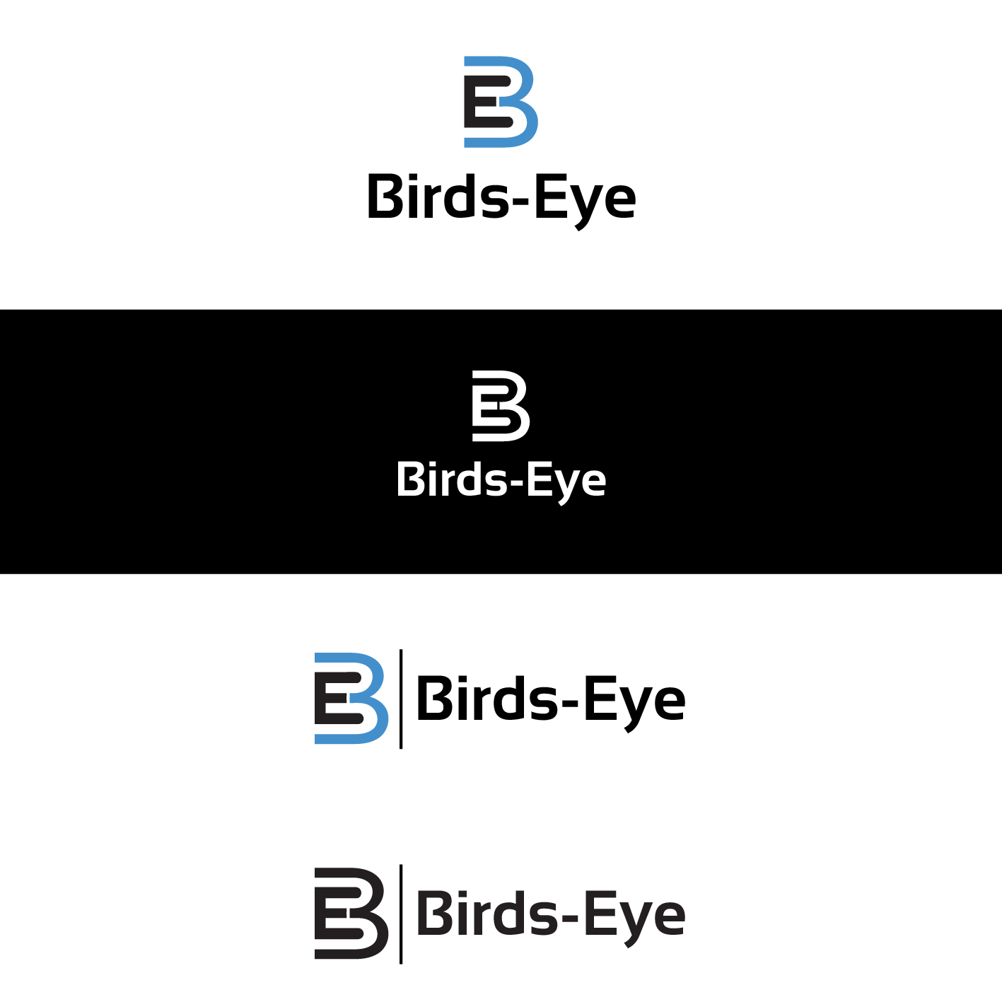 Logo Design by Sharaan Momin for Birds-Eye  | Design #10304696