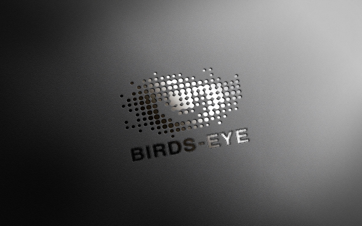 Logo Design by Creativdiz for Birds-Eye  | Design #10325632