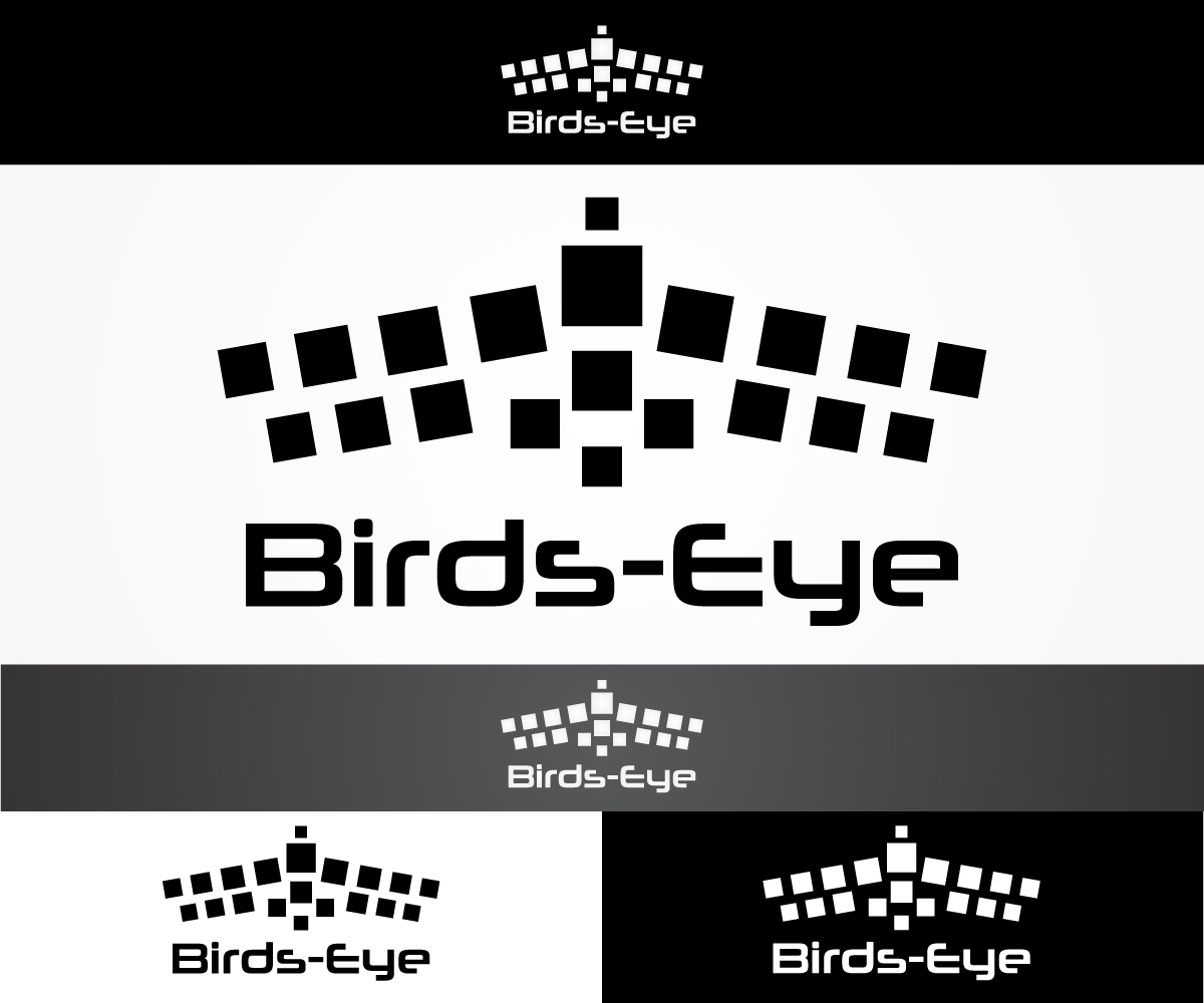 Logo Design by sangeloenriquez for Birds-Eye  | Design #10243711