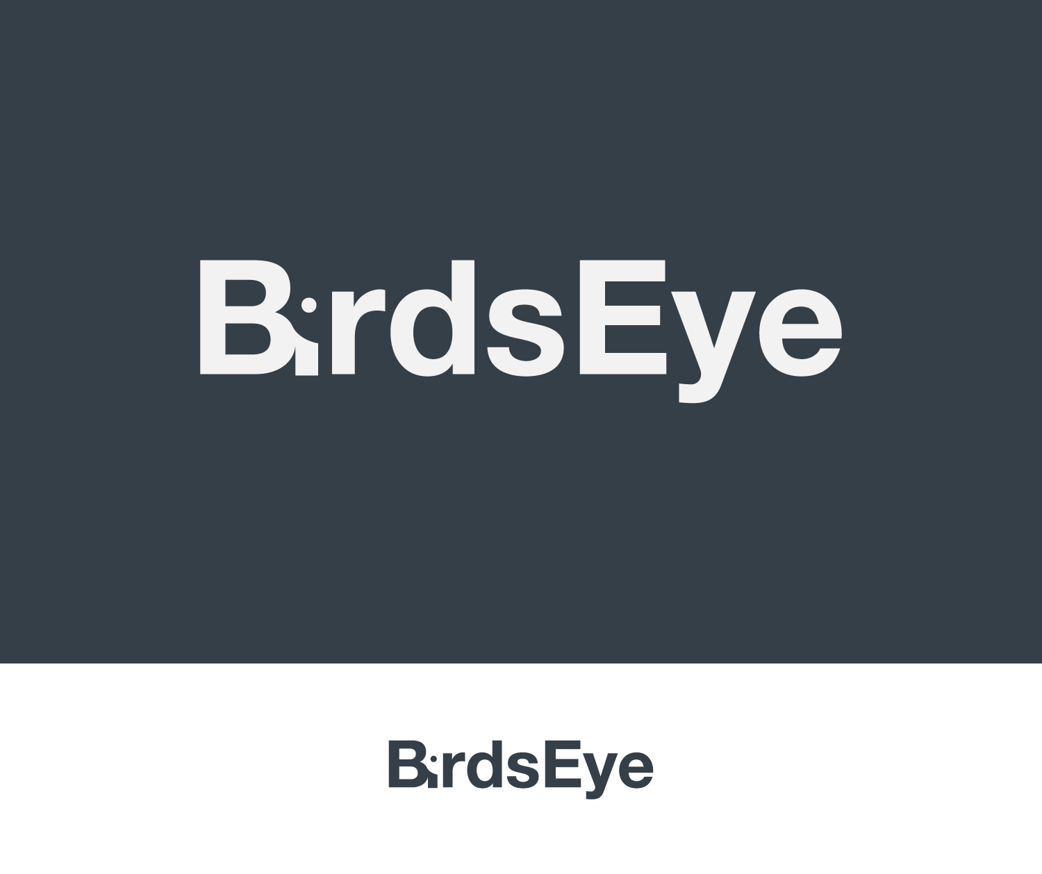 Logo Design by Milos Jovic for Birds-Eye  | Design #10241295