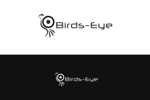 Logo Design by Ather Ali Khan for Birds-Eye  | Design: #10275199