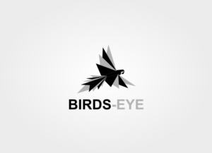 Logo Design by zagystars for Birds-Eye  | Design: #10341836