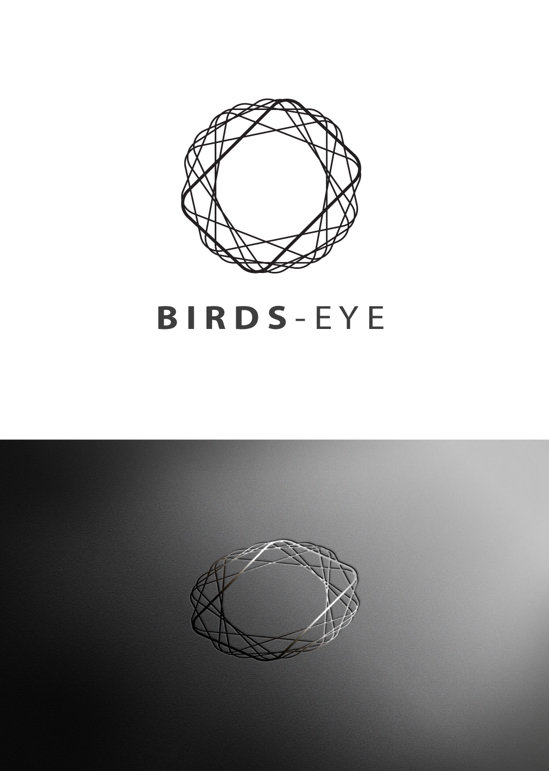 Logo Design by anonrotide for Birds-Eye  | Design #10303345