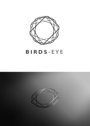 Logo Design by anonrotide for Birds-Eye  | Design: #10303345