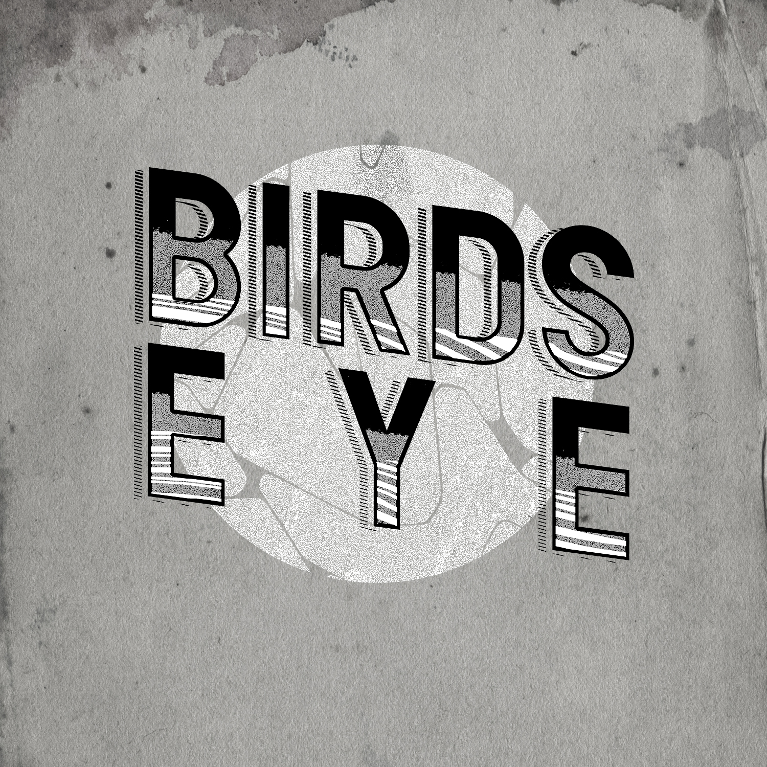 Logo Design by Heydale for Birds-Eye  | Design #10339824