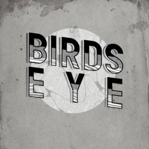 Logo Design by Heydale for Birds-Eye  | Design: #10339824
